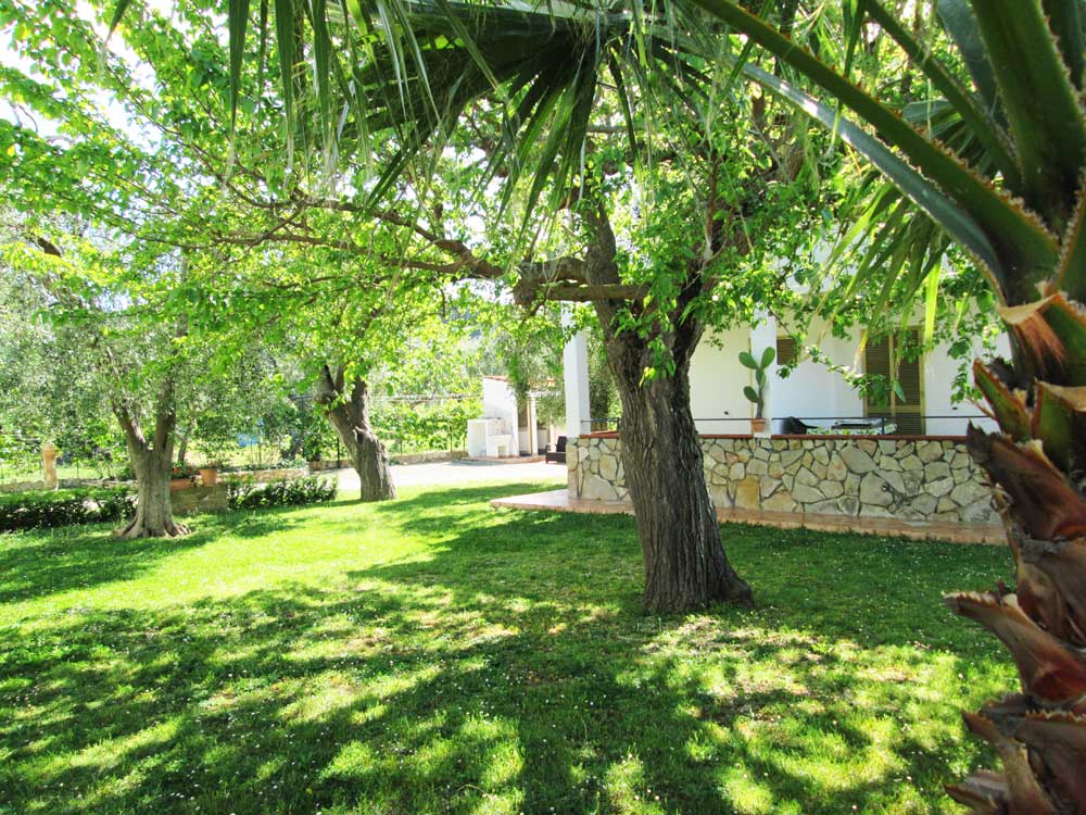 Immersi nel verde in Vacanze la Paloma Peschici-Gargano